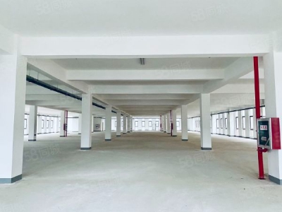 南京市雨花台区秣周东路地铁站未来科技城0.8元可分租标准全新独栋厂房图4