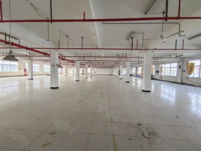 南京市雨花台区空港溧水柘宁东路标准厂房200~4000平办公仓储轻加工招租图3