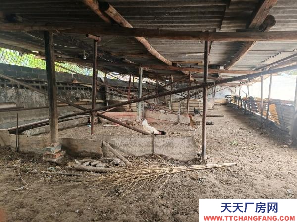 (出租) 本厂房适合加工、仓库、停车位等多型运用，也合适作为农家乐