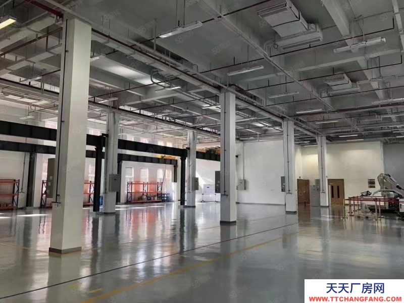 青岛黄岛有食堂会议室健身房 面积可选 京东方配套企业看过来
