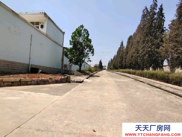 (出租) 西片区标准厂房仓库出租，出让
