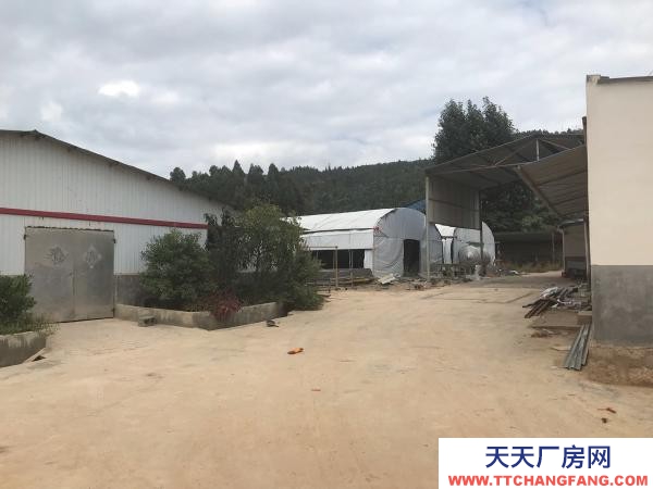 (出租) 以前的养殖场，水电路都比较方便