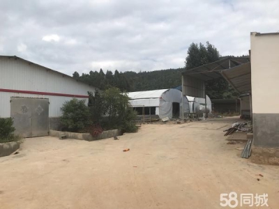 (出租) 以前的养殖场，水电路都比较方便图4