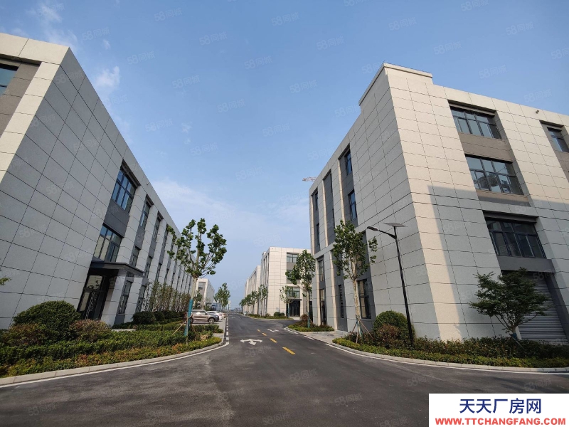 青岛黄岛王台新旧动能转换区 独栋厂房 准现房