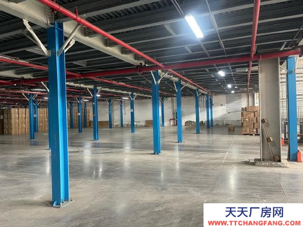 南京市雨花台区规格仓库，无中介费。100-1800平，可分割，可托管