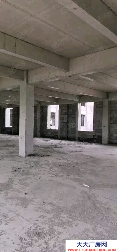 青岛黄岛底价出！开发区厂房！急售！！