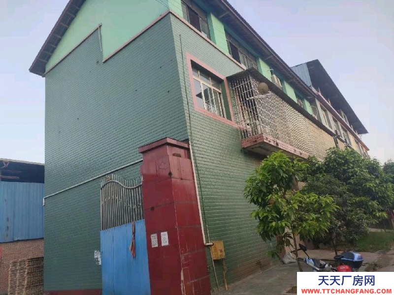 (出租) 重庆南川厂房便宜出租租金面议
