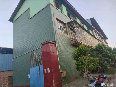 (出租) 重庆南川厂房便宜出租租金面议图4