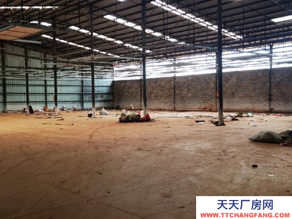 (出租) 标准厂房空间大，采光好。