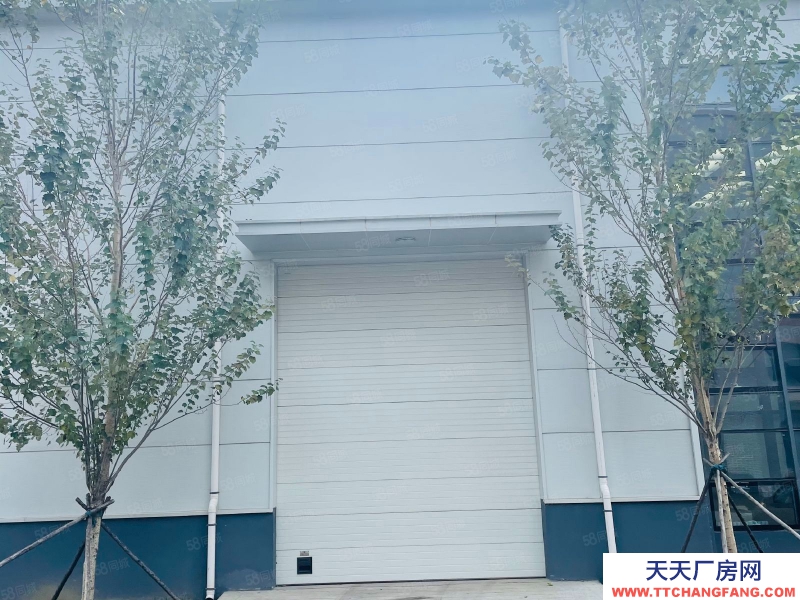 (出售) 自贸区 现房 1400平单层 高10米 可做低首付