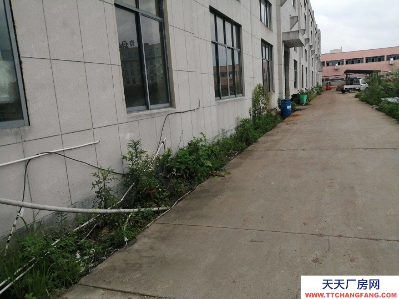 杭州萧山(出售) 临浦高速出口工业区15亩土地5000方厂房出售