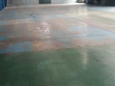 青岛崂山区松岭路金水路1000平仓库出租 高20米图2