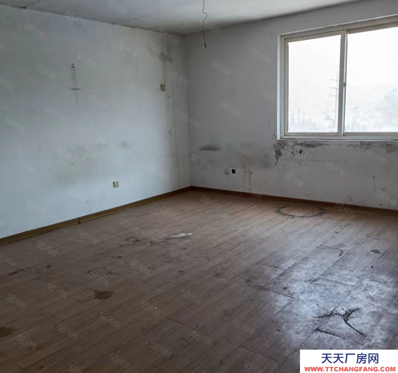 青岛崂山枯桃仓库出租