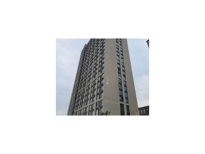 (出租) 武汉江夏政企合作园区，政策补贴，环评排污图1