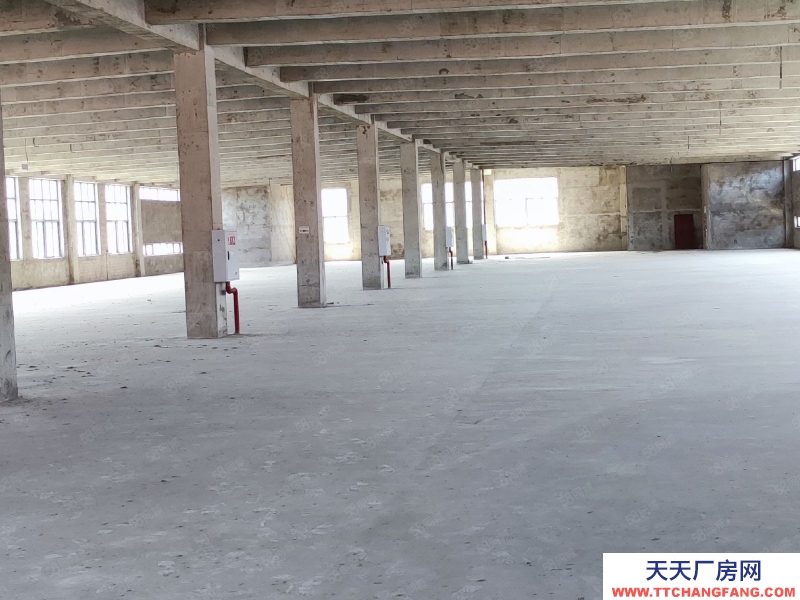 (出售) 重庆铜梁开发商直售现房现证花园标准厂房园区