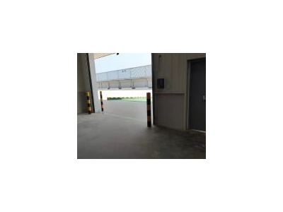 (出租) 武汉江夏郑店多多买菜附近高台库出租图1