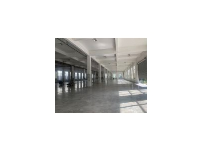 (出租)武汉 江夏新建独栋多层框架厂房图4