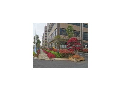 (出租) 武汉黄陂横店带行吊工业厂房火热招租 可分租图3