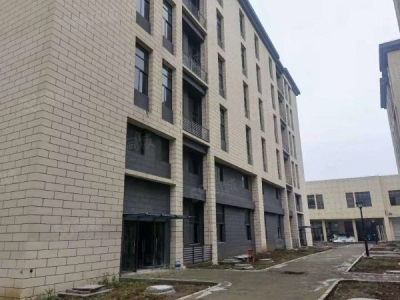 南京市建邺区七月启动，2000平独栋单价6000！近地铁图1