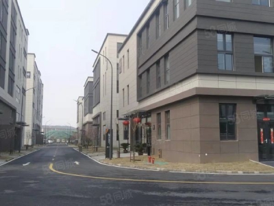 南京市建邺区地铁口1千平花园独栋出售一楼8米三楼送大露台均价5千首付三成图4