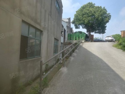 南京市建邺区江宁镇独门独院厂房3000平米有土地证图1