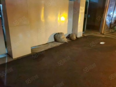 南京市建邺区南湖东路 长虹路 一楼仓库 大车可以进出图8