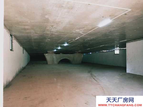 南京市建邺河西金鹰对面高架桥下面810平方仓库