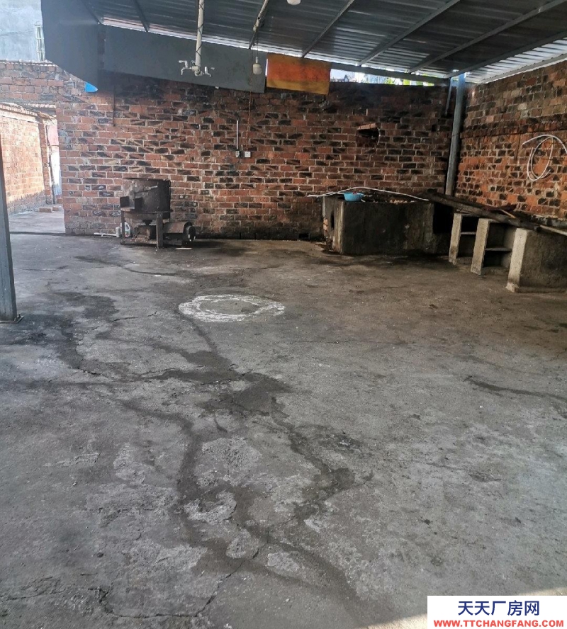 南宁市西乡塘区(出租) 美丽南方附近，交通方便，水电齐全