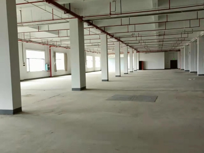南宁市西乡塘区(出租) 标准厂房、仓库出租，大车出入方便，交通便利图2