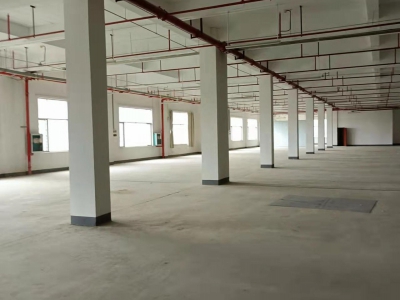 南宁市西乡塘区(出租) 标准厂房、仓库出租，大车出入方便，交通便利图1