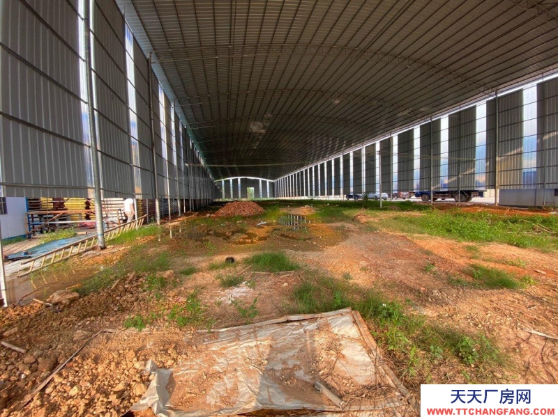 南宁市西乡塘区(出租) 石埠厂房，仓库招租，交通便利。