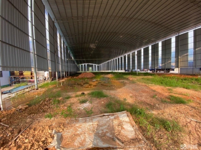 南宁市西乡塘区(出租) 石埠厂房，仓库招租，交通便利。图2