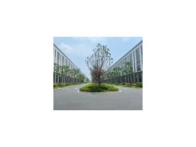 (出售) 武汉新洲现房！企业已入驻，2层独栋厂房，欢迎您的加入！图1