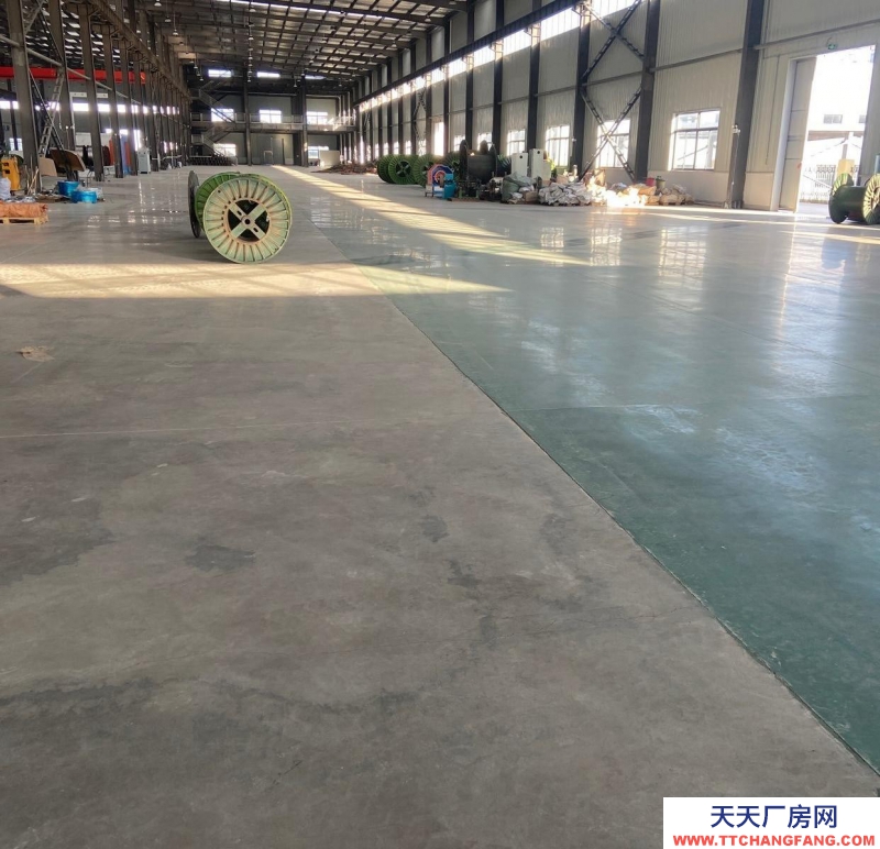南宁市西乡塘区(出租) 连主路标准钢结构厂房一层