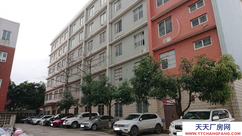 南宁市西乡塘区(出租) 心圩西十路26号厂房出租，租金低