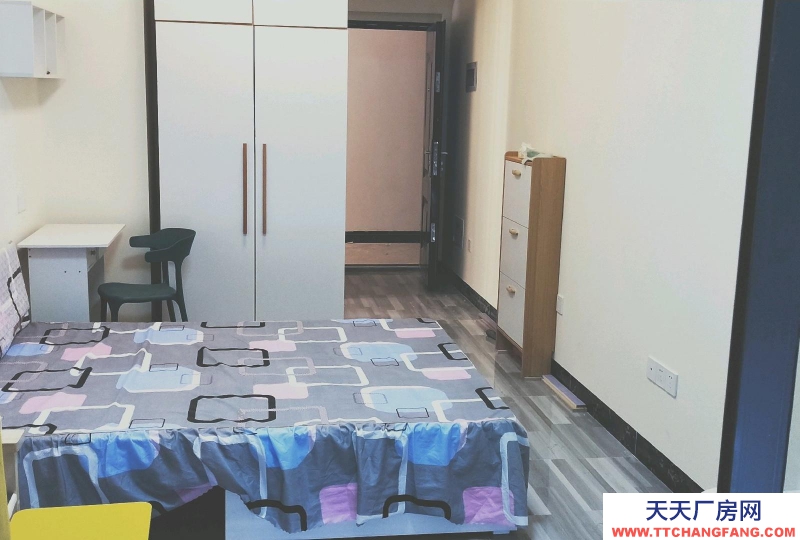 南宁市西乡塘区(出租) 全新配齐，新房出租