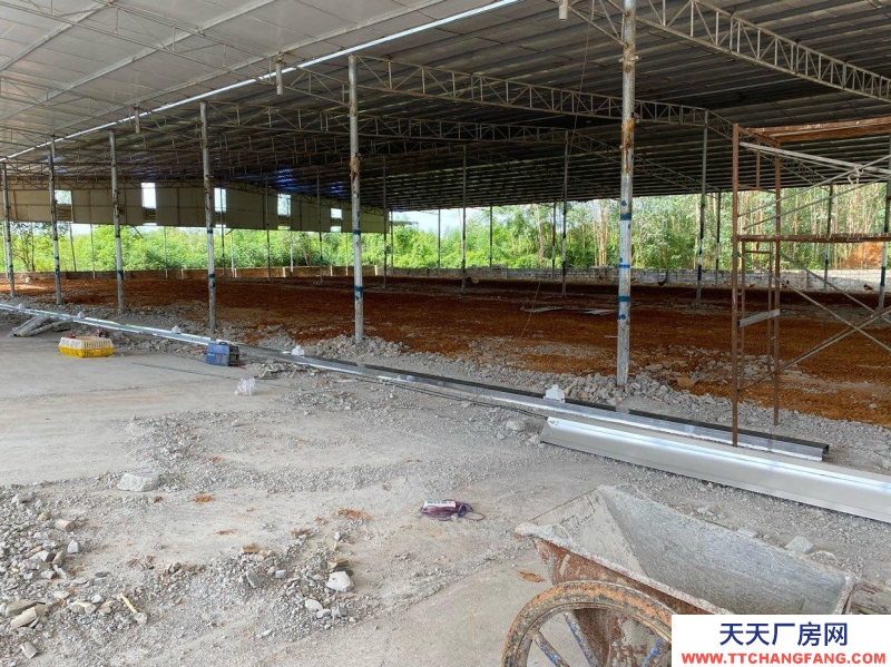 南宁市西乡塘区(出租) 2000平方厂房出租