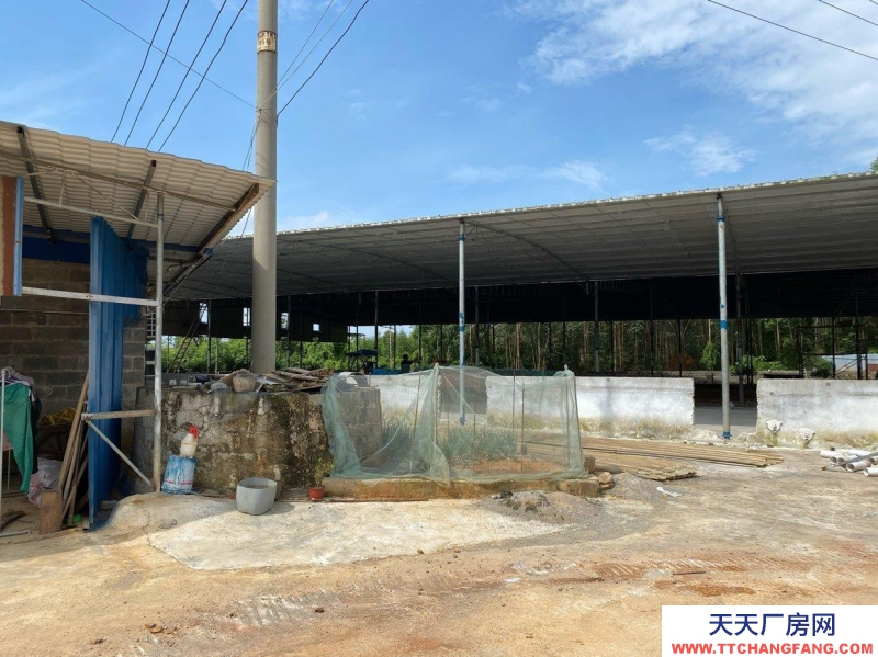 南宁市西乡塘区(出租) 2000平方厂房出租