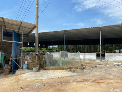 南宁市西乡塘区(出租) 2000平方厂房出租图1