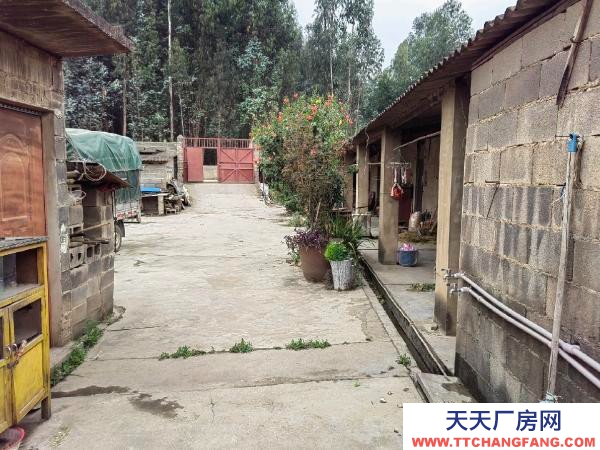 (出租) 交通方便，环境好，厂房内有员工宿舍，厨房