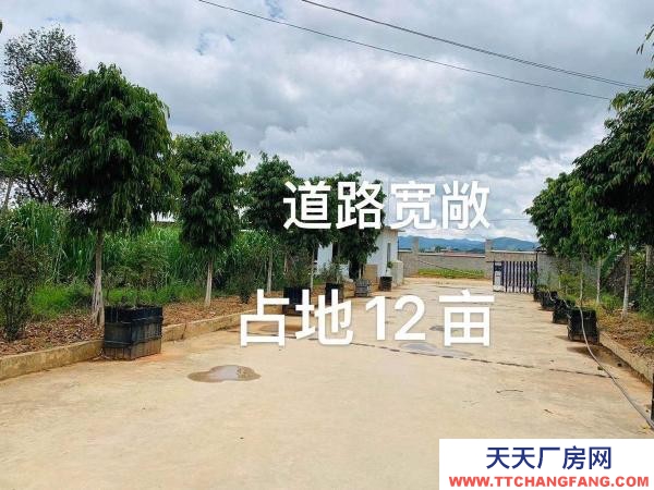 (出租) 占地12亩，租金面议！