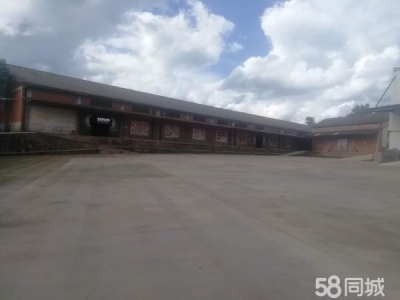 (出租) 出租楚雄市楚雄城区25公里厂房有办公楼货场独门独院图3