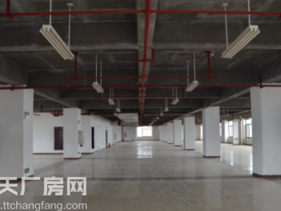 长沙市雨花区标准厂房办公楼3000平米出租图2