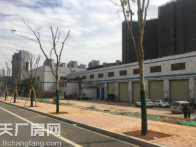 长沙市雨花区高桥附近若干厂房招租图1
