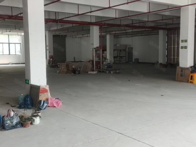 杭州余杭(出租) 良渚 房东直租 无需中介费 一楼2500方 五百方起租图4