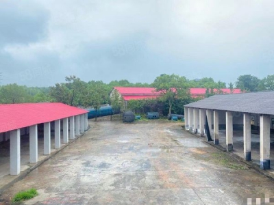 长沙市雨花区跳马镇独门独院3000厂房仓库优价出租图3