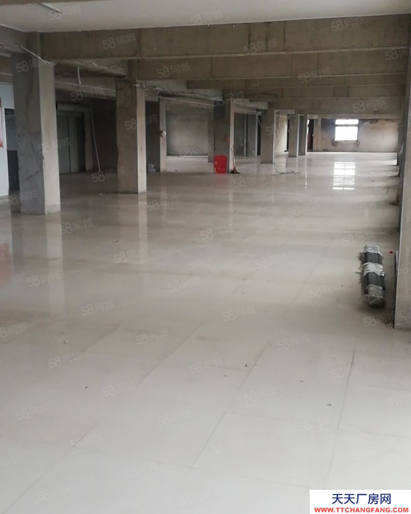(出租)南昌西湖区 银燕物流基地有限公司仓库招租（可分隔）