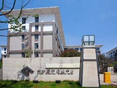 长沙市雨花区国际创新城仓库生产办公厂房出售图2