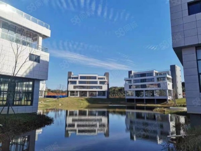 长沙市雨花区国际创新城仓库生产办公厂房出售图4