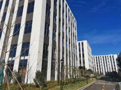 长沙市雨花区现房厂房出售 300平产研办一体 可仓库 无中介费图2